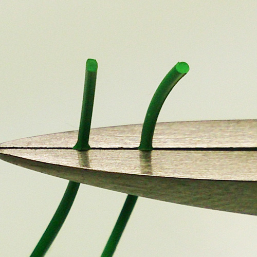 パッキン/ケース