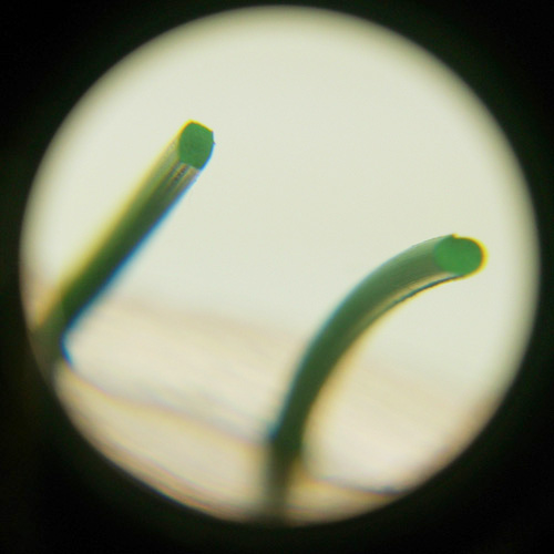 パッキン/ケース