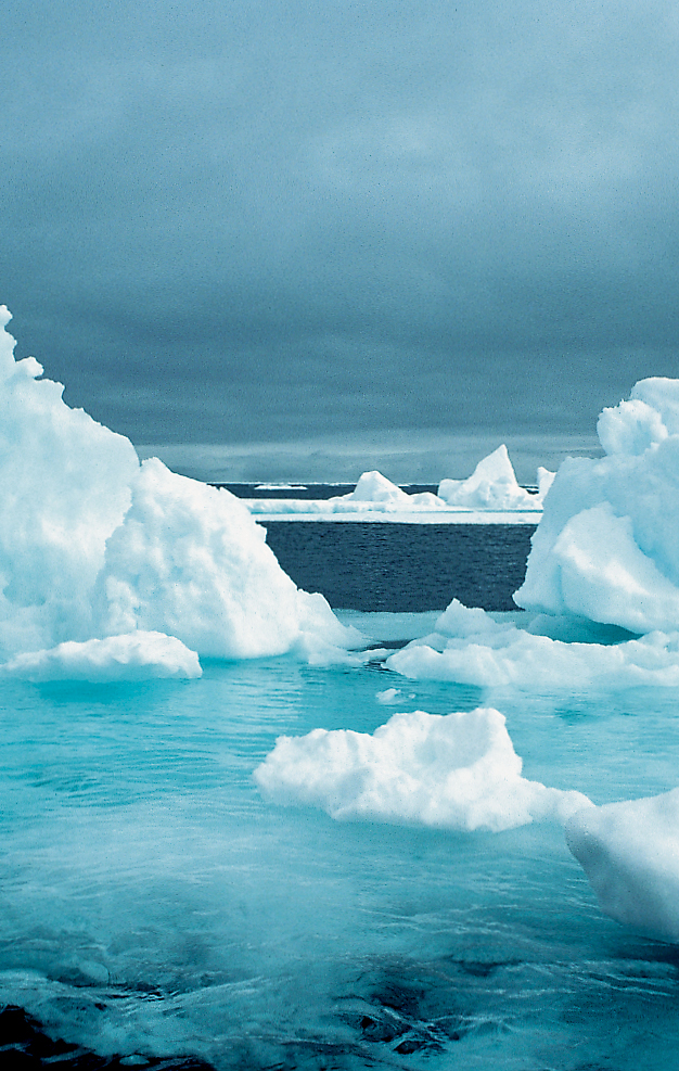 マリオ・ヴァイトナーの北極