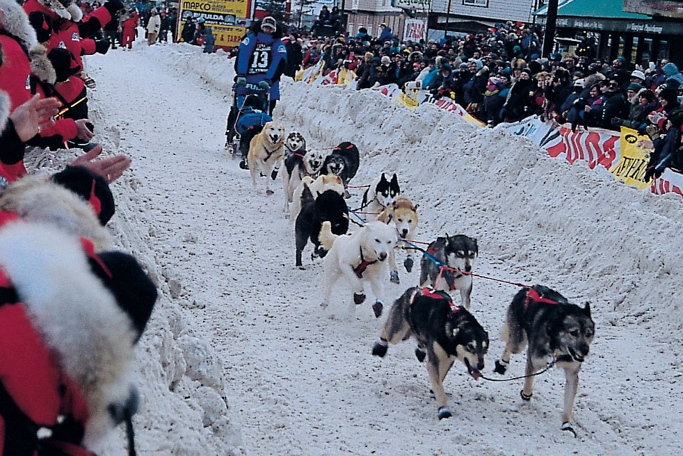犬ぞりレーサー