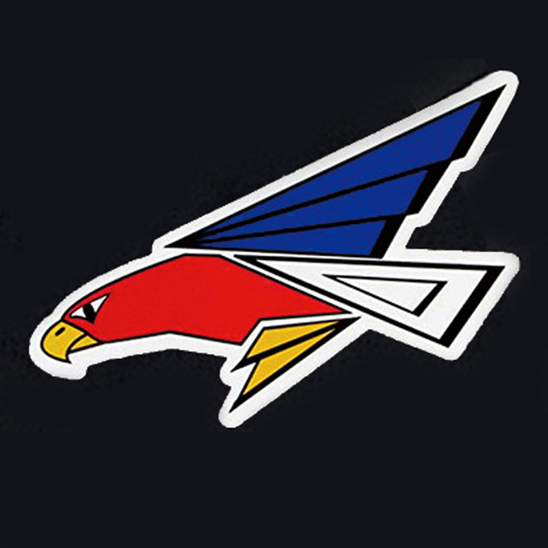 第302飛行隊／百里基地／オジロワシ