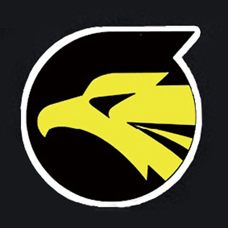 第306飛行隊／小松基地／イヌワシ