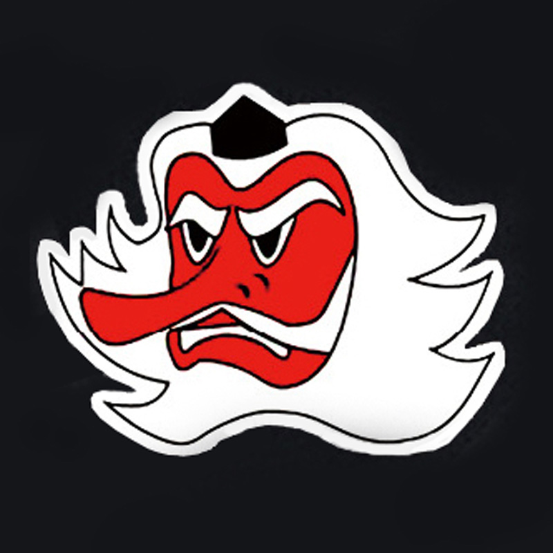 第304飛行隊／築城基地／天狗