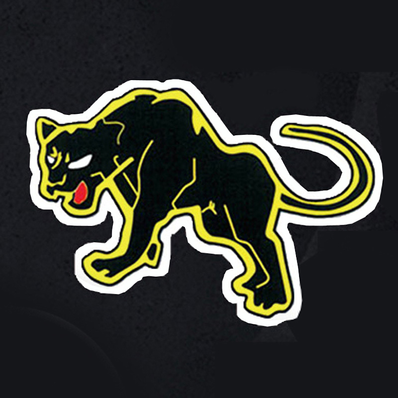 第8飛行隊／三沢基地／黒ヒョウ