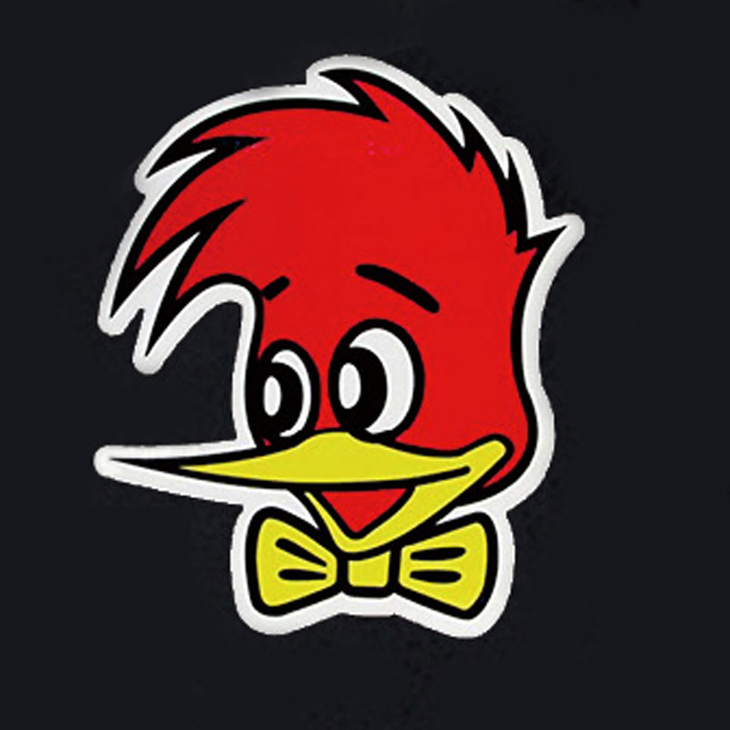 偵察航空隊第501飛行隊／百里基地／キツツキ